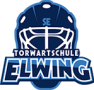 cropped-torwartschule_elwing_logo_last2.png